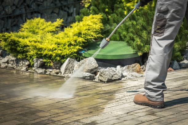 Animal Enclosure Cleaning in Woodcliff Lake, NJ